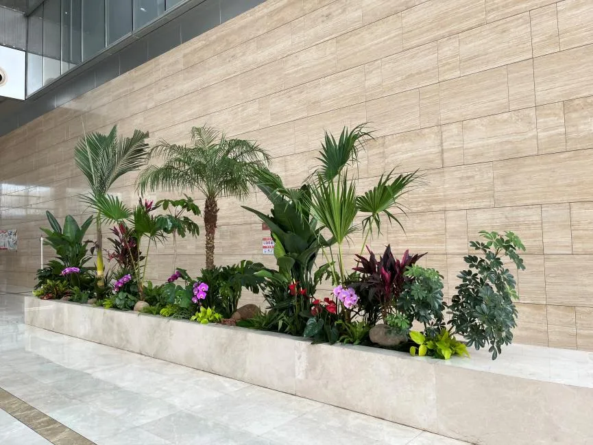 镇海盆景出租价格究竟几何？别错过！