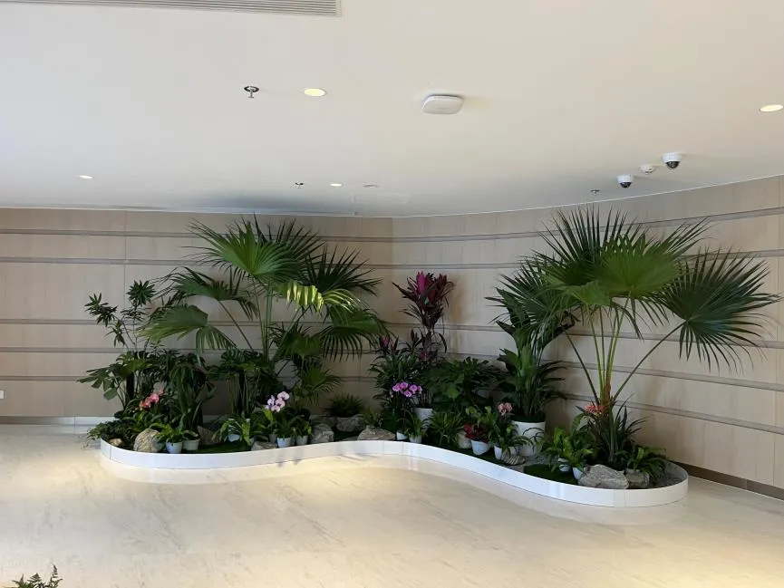 找鄞州花卉租摆好去处，这篇有线索！