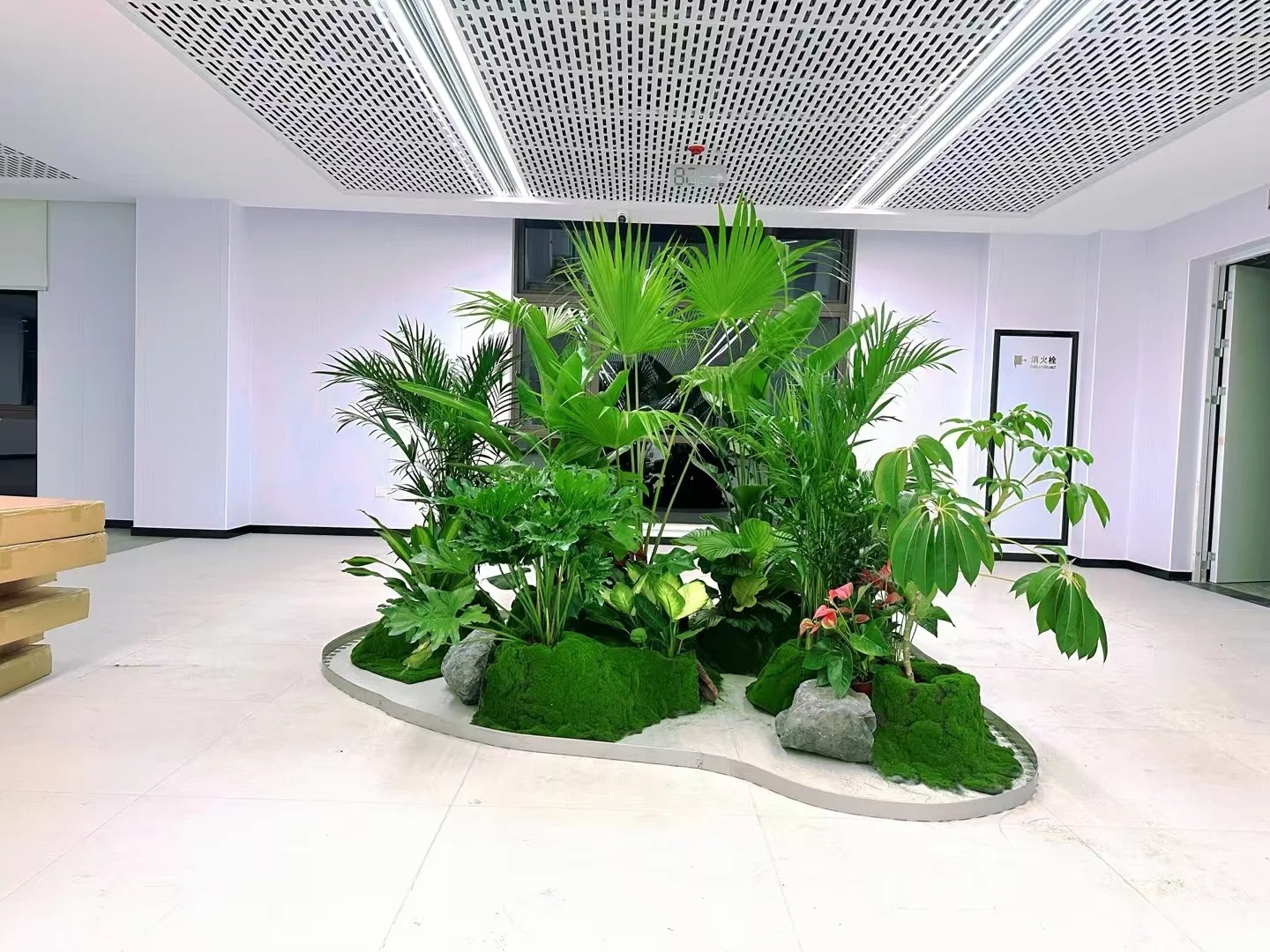 专业花木出租，让宁波慈溪更具魅力