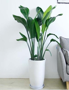 想找花卉租摆？宁波这家公司超靠谱，速来了解！