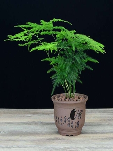 鄞州花卉租赁设计