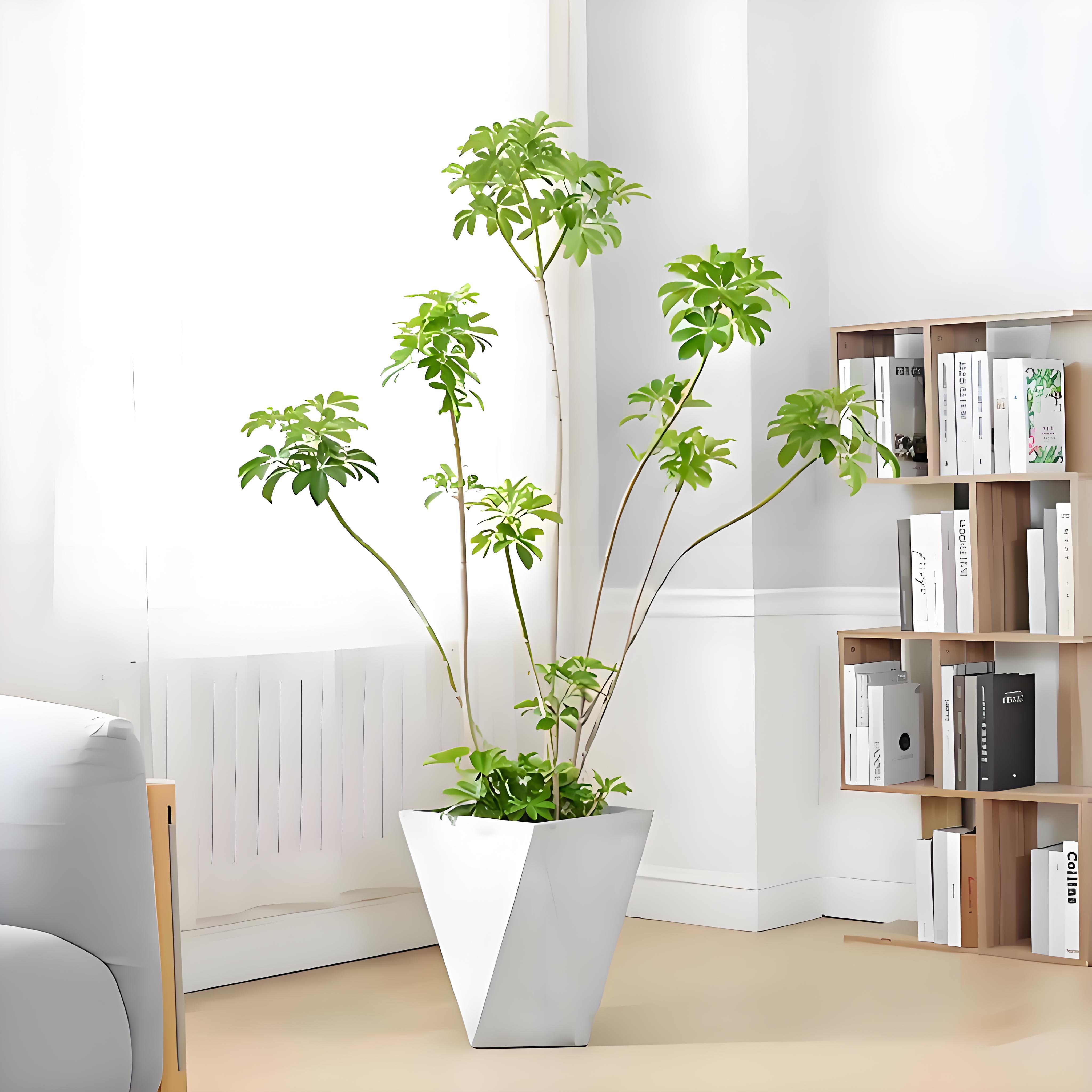 紧跟搜索习惯，领略杭州湾绿化养护专业魅力